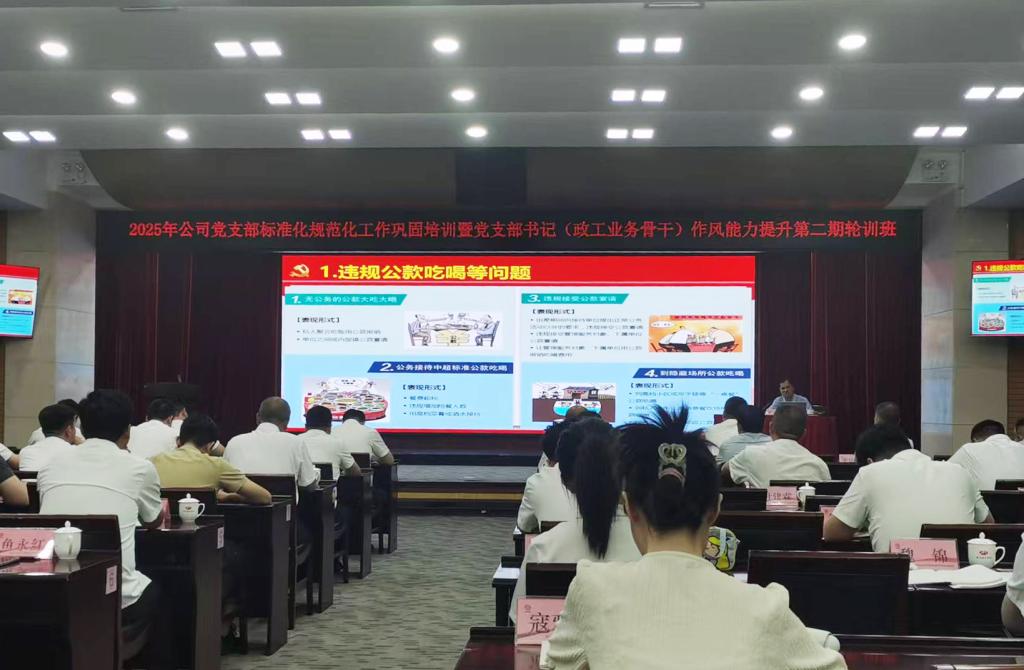 公司舉辦黨支部書(shū)記作風(fēng)能力提升輪訓(xùn)班